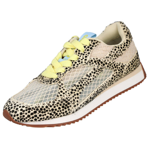 GIOSEPPO SEEKONK 78626 DALMATA 606652