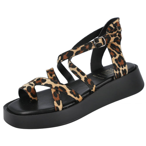 BUBBLE BOBBLE M2643 LEOPARDO 455111