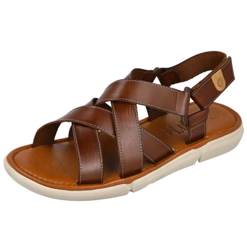 VIVANT ALSA-221075 NUEZ 625323
