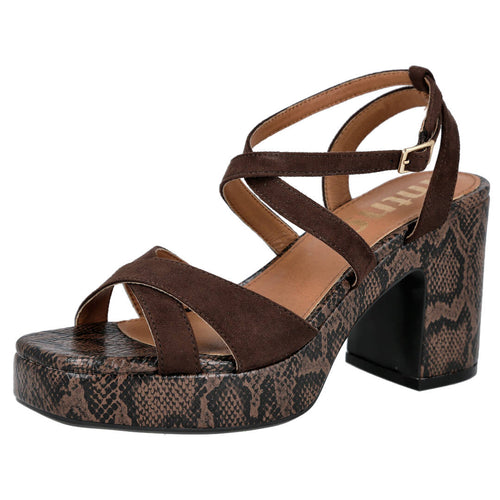 MTNG 56649-C60018 MARRON 359967